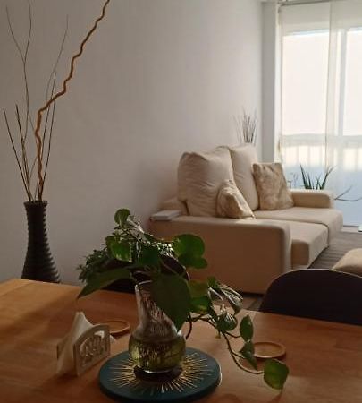 Apartamento Entero De Tres Habitaciones, Cerca De La Playa! Acogedor, Luminoso Y Tranquilo 马尔格莱特德玛 外观 照片